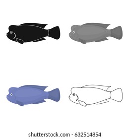 Stearocranus fish icon cartoon. Singe aquarium fish icon from the sea,ocean life cartoon.