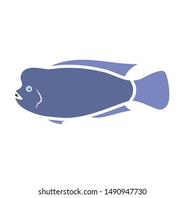 Stearocranus fish icon colour. Singe aquarium fish icon from the sea, ocean life colour.