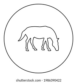 Steed Horse Equestrian Equine Stallion thoroughbred Mustang silhouette in circle round black color vector illustration contour outline style image 