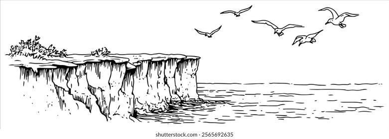 steep coastal cliff with seagulls and ocean view illustration