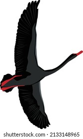 Steep peak of a black swan with spread wings and a bloody beak and paws. The crisis. Vector illustration