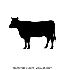 Steer cattle silhouette vector illustration design on white background.