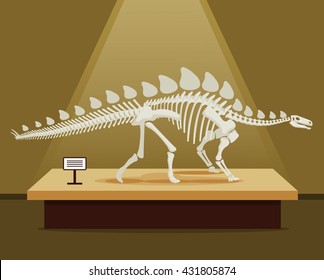 Stegosaurus Bones Skeleton In Museum Exhibition. Vector Flat Cartoon Illustration. School Poster