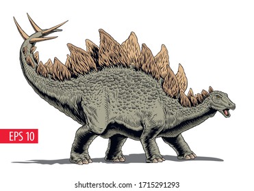 Stegosaurus dinosaur, comic style vector illustration