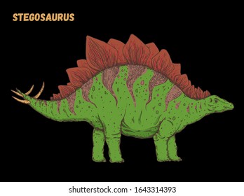 Stegosaurus dinosaur hand drawn. Vector illustration. Herbivorous dinosaur.