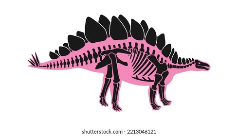 Stegosaurus Dinosaur skeleton Prehistoric Animal. Vector illustration