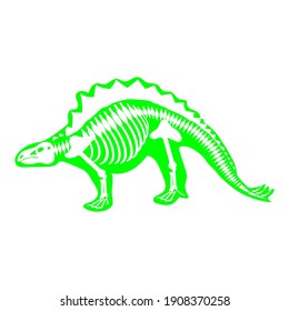 Stegosaurus dinosaur skeleton, vector illustration
