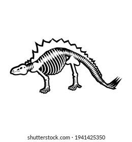 Stegosaurus dinosaur skeleton, vector illustration