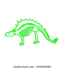 Stegosaurus dinosaur skeleton, vector illustration