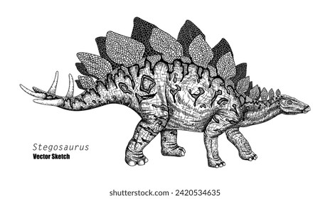 Stegosaurus. Dinosaur sketch drawing. Black and white. Hand drawn vector art. line art