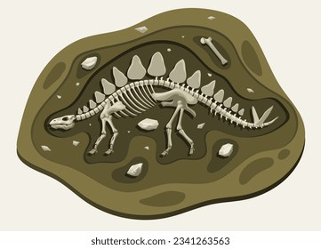 Stegosaurus Dinosaurs Archaeology Fossil Cartoon Discover in the Ground