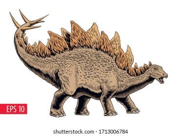 Stegosaurus dinosaurus, comic style vector illustration