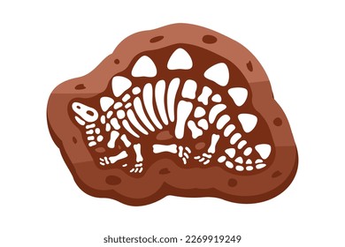 Stegosaurus fossils skeleton. Stegosaurus fossil bones. Dinosaur skeleton. Dinosaur bones with skull. Paleontology and archeology.
