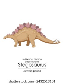 Stegosaurus, herbivorous, armored dinosaur from the Jurassic period. 