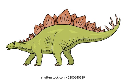 Stegosaurus herbivorous dinosaur on white background. There are plates on the back, sharp thorns on the tail. Jurassic prehistoric animal. Vector isolated cartoon illustration hand drawn