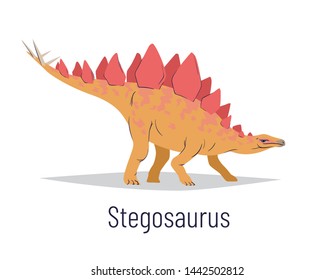Stegosaurus. Ornithischian dinosaur. Colorful illustration of prehistoric creature stegosaurus in hand drawn flat style on white background. Huge fossil dinosaur