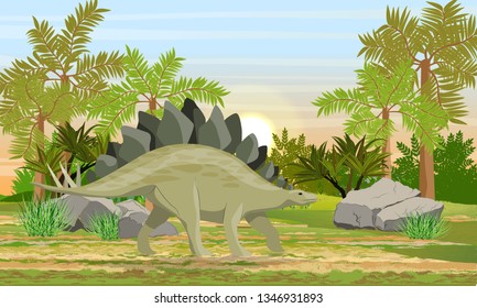 Stegosaurus in prehistoric forest. Prehistoric animals and plants. Scene from Mesozoic or Jurassic period. Realistic Vector Landscape