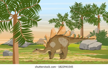 Stegosaurus in prehistoric scale with stones and tree ferns. Prehistoric animals and plants. Scene from Mesozoic or Jurassic period. Realistic Vector Landscape