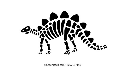 Stegosaurus skeleton. Stegosaurus fossil body parts. Dinosaur bones. Dangerous ancient predator. Jurassic raptor. Paleontology and archeology.