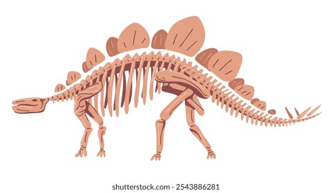 Esqueleto de Stegosaurus. Grande lagarto prehistórico. Dinosaurio del período Jurásico. Arqueología y paleontología. Huesos de un animal extinto. Ilustración vectorial plana aislada sobre fondo blanco