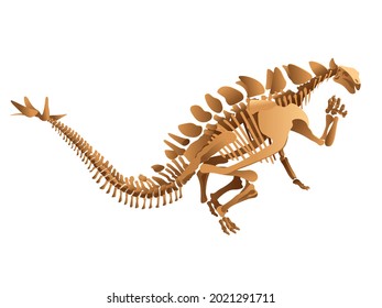 Stegosaurus Skeleton On White Background.