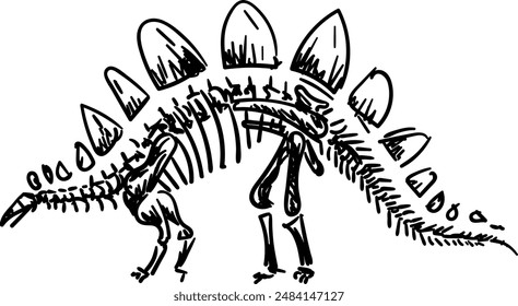 Stegosaurus skeletons. Dino bones. Remains of ancient animal vector illustration