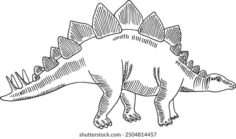 Stegosaurus sketch. Ancient dinosaur. Hand drawn animal