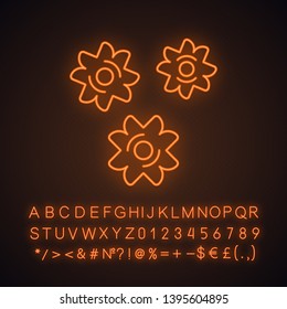 Stele neon light icon. Star-shaped pieces of dough. Semi-finished product for soup. Pastina. Traditional Italian meal. Glowing sign with alphabet, numbers and symbols. Vector isolated illustration