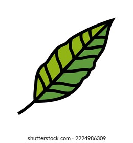 stelizia tropical leaf color icon vector. stelizia tropical leaf sign. isolated symbol illustration