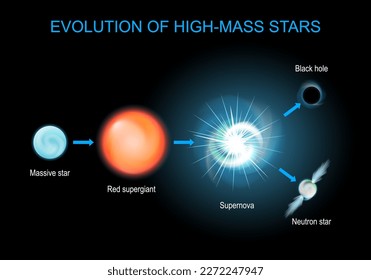 Evolución estelar. Ciclo de vida de estrellas masivas desde supergigante rojo, y supernova, hasta agujero negro, y estrella de neutrones. Afiche vectorial sobre astronomía. diagrama de infografía