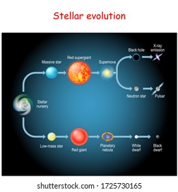 Stellar Evolution. Life Cycle Of A Star. From Stellar Nursery And Red Giant, To Black And White Dwarfs, Planetary Nebula, Supernova, Pulsar, Neutron Star, And Black Hole