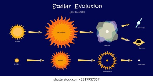 Stellar evolution step by step. Stars, planetary nebula, supernova, black hole, white dwarf, neutron star. Cartoon vector illustration on dark blue background. Not to scale.