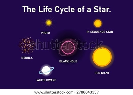 Stellar lifecycle diagram with labels showing nebula proto main sequence red giant white dwarf and black hole stages, astronomy education infographic.