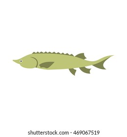 Stellate icon in flat style isolated on white background. Sea creatures symbol