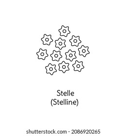 Stelle pasta illustration. Stelline vector doodle sketch. Traditional Italian food. Hand-drawn image for engraving or coloring book. Isolated black line icon. Editable stroke