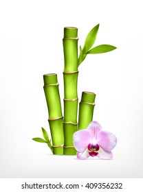 Stem of bamboo with orchid. Vector icon. EPS10