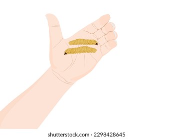 Stem boring beetle or Dorysthenes buqueti Guerin in hand on white background.