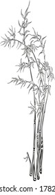 Stem of the cane vector icon.Black vector icon isolated on white background stem of reed, rush, sedge .