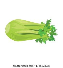 Stamm der Sellerie Vektor Symbol.Cartoon Vektor Symbol isoliert auf weißem Hintergrund Stamm der Sellerie.