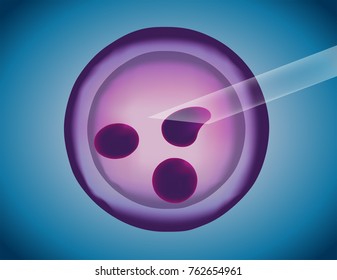 stem cell , artificial insemination vector