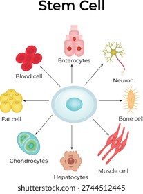 Stem Cell Design Vector Illustration