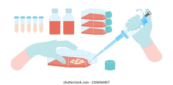 Stem cell flask equipment petri dish lab hood flow animal virus Research cancer media serum culturing line plate testing therapy egg organ yeast device in vitro coculture assay safety embryo tissue