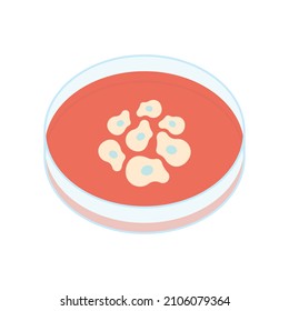 Stem Cell Flask Equipment Petri Dish Lab Hood Flow Animal Virus Research Cancer Media Serum Culturing Line Plate Testing Therapy Egg Organ Yeast Device In Vitro Coculture Assay Safety Embryo Tissue