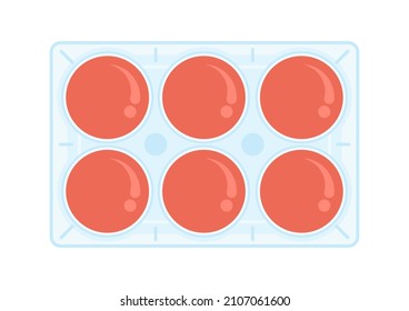 Stem Cell Flask Equipment Petri Dish Lab Hood Flow Animal Virus Research Cancer Media Serum Culturing Line Plate Testing Therapy Egg Organ Yeast Device In Vitro Coculture Assay Safety Embryo Tissue