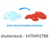 stem cells cartoon
