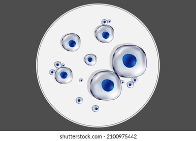 Stem cells and petri dish. Biotechnology. Biology. 
Medical science background. 