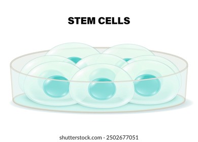 Stem cells and petri dish. Biotechnology. Biology. 
Medical science background. Stem Cell Culture.