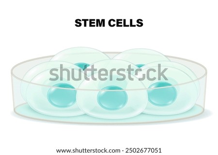 Stem cells and petri dish. Biotechnology. Biology. 
Medical science background. Stem Cell Culture.