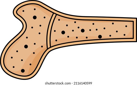 Stem Cells Vector color Icon Design, Organ System Symbol, Human Anatomy Sign, Human Body Parts Stock illustration, Bone Marrow Concept, 