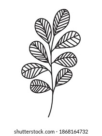 stem with eight leaves in the sides vector illustration design